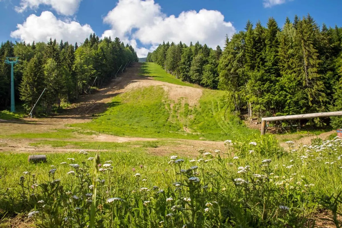 Резерват Парангалица